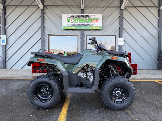 Arctic Cat Alterra 300 Marsh Green