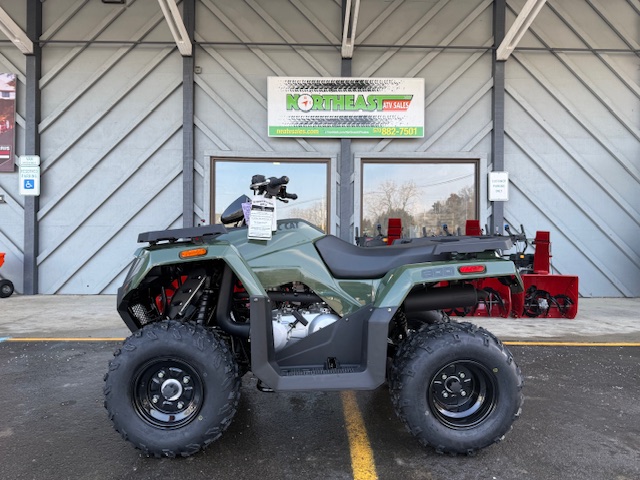 Arctic Cat Alterra 300 Marsh Green